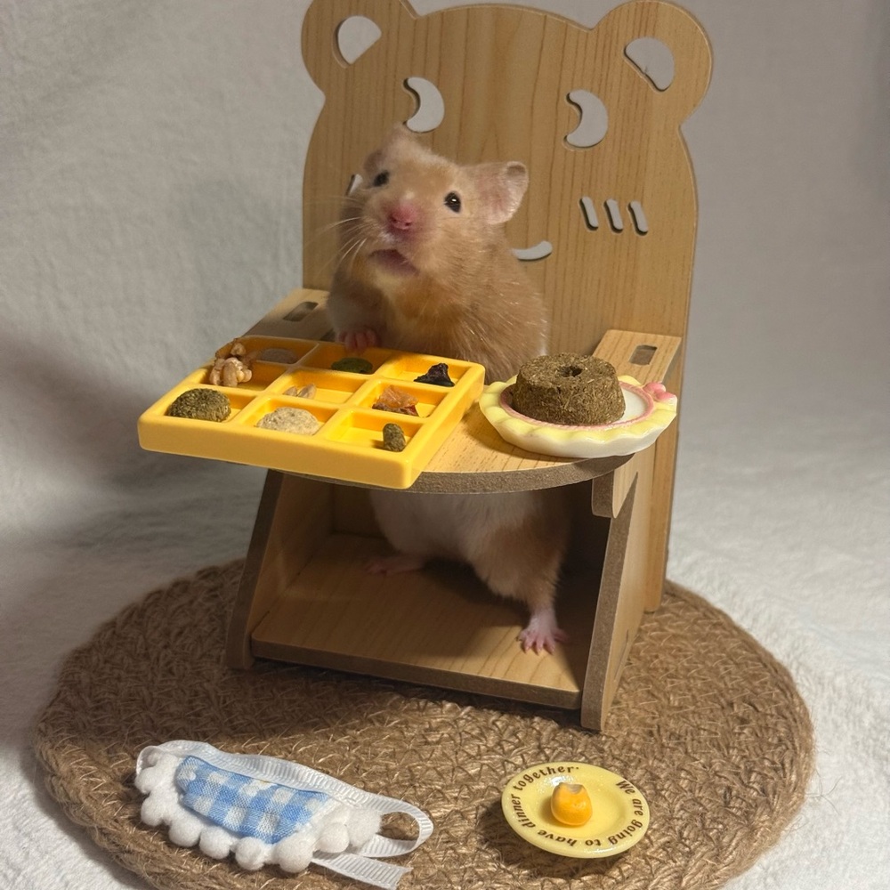 Adorable Wooden Miniature Hamster Chair - For Small Pets!
